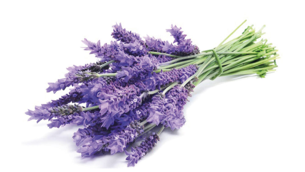 essenza profumatore auto personalizzato: Lavanda